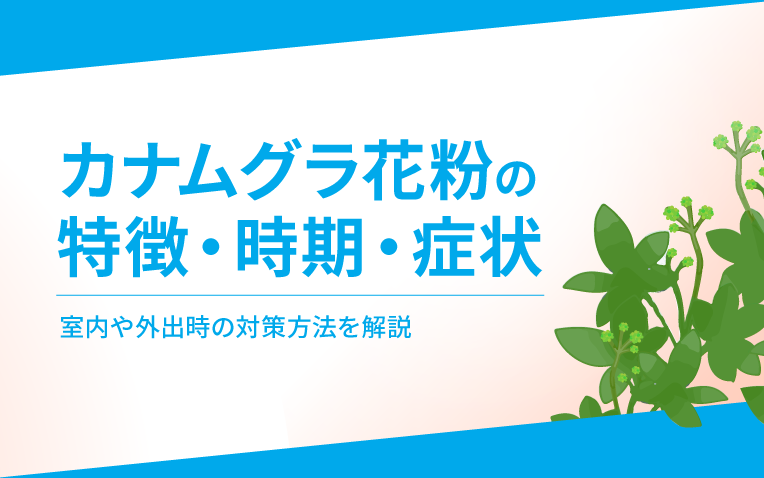 カナムグラ花粉の特徴・時期・症状。室内や外出時の対策方法を解説