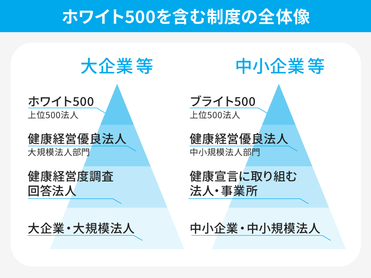 ホワイト500を含む制度の全体像