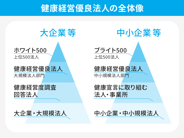 健康経営優良法人の全体像